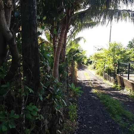 Location Saisonniere Le Clos Des Agrumes Sainte Anne Exterior foto