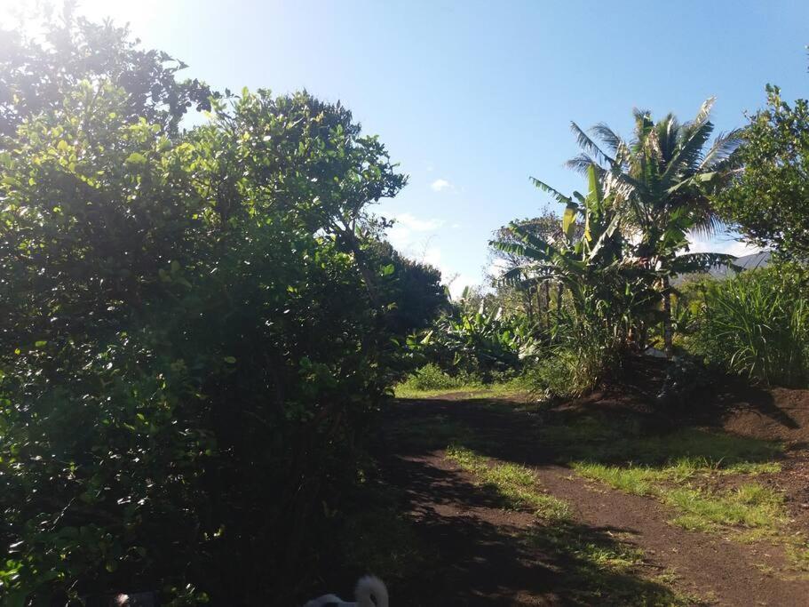 Location Saisonniere Le Clos Des Agrumes Sainte Anne Exterior foto